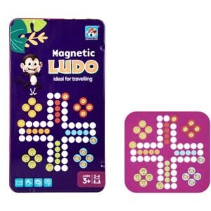 Game magnetic ludo